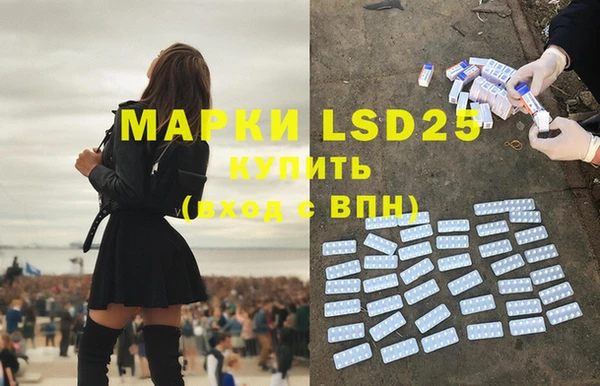 индика Абаза