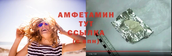 индика Абаза