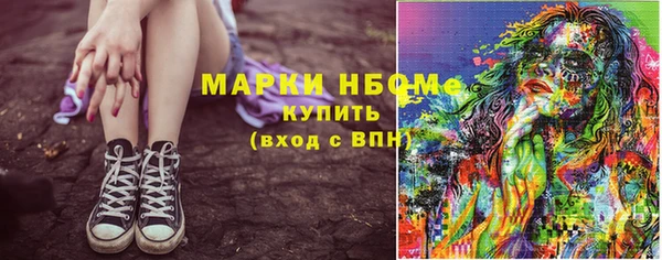 индика Абаза