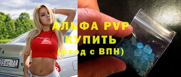 индика Абаза